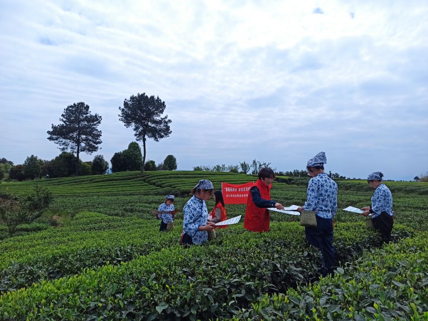 成都市開展“春暖茶飄香 普法正當時”——村(社區）人員“識法明理”行動。成都市司法局供圖