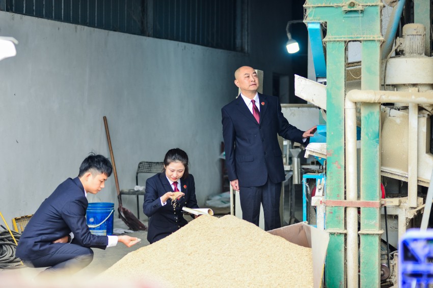 以檢察之力保障種子安全， “農”墨重彩繪豐景。崇州市檢察院供圖