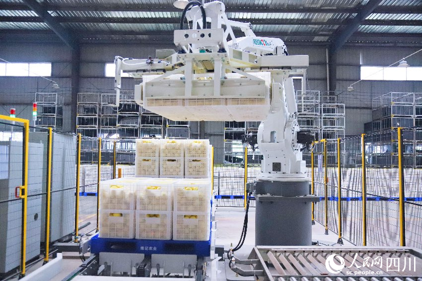 智能化作業。潘政吉攝