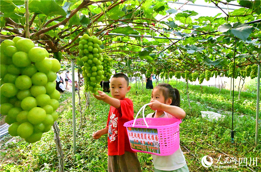 萌娃小寶興趣飛。人民網記者 劉海天攝