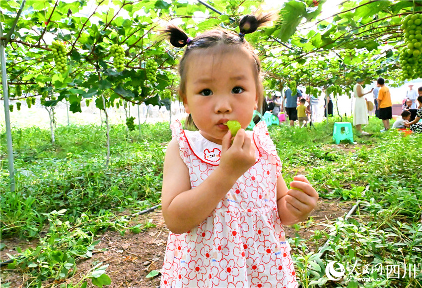 清香沁透滿心扉。潘建勇攝
