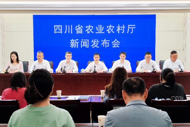 新聞發布會現場。人民網記者 朱虹攝