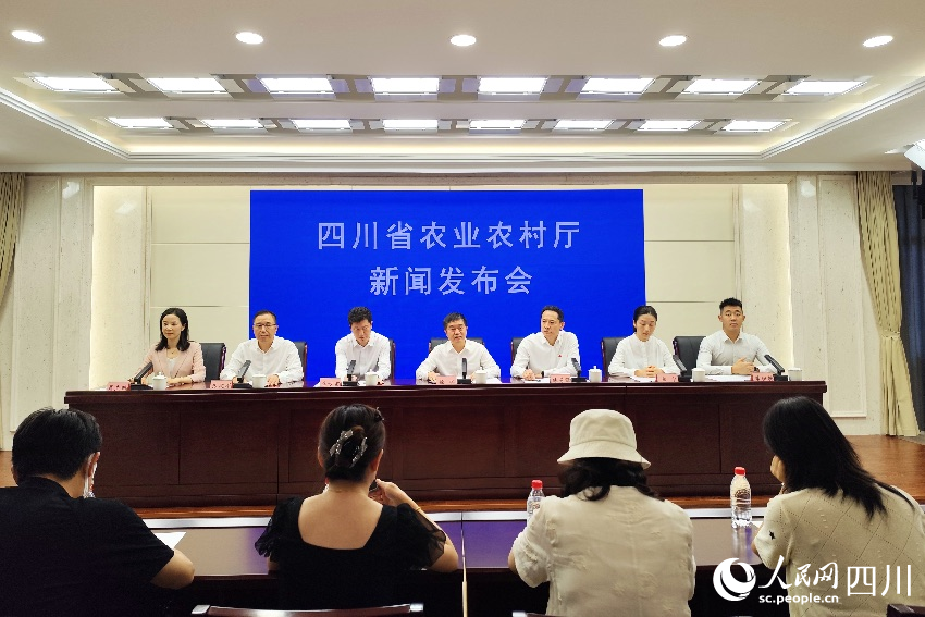 四川省第二屆和美鄉村籃球大賽（村BA）總決賽新聞發布會。人民網記者 朱虹攝