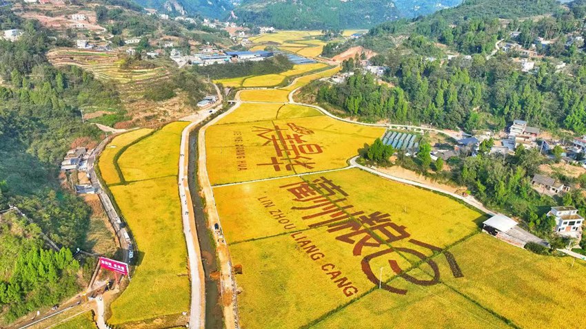 瀘州古藺縣2024年中國農民豐收節在皇華鎮“天府糧倉”示范園區開幕。李驍供圖