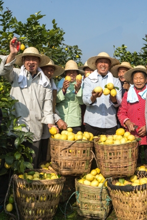 安岳縣石橋街道村民臉上洋溢著豐收的喜悅。