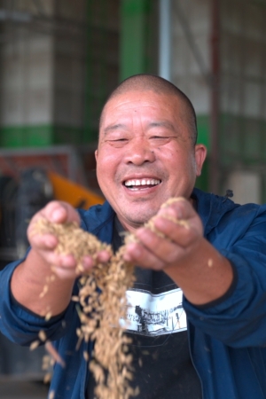 綿竹市水稻豐收，村民手捧水稻笑開顏。