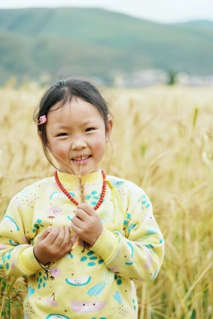 小孩子站在青稞田里，展示成熟的青稞。