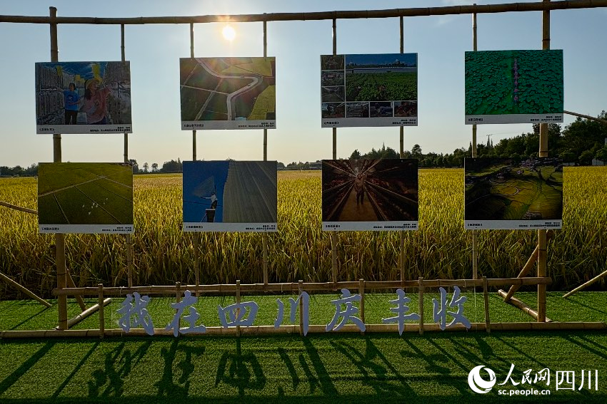 和美鄉村攝影作品。人民網記者 朱虹攝