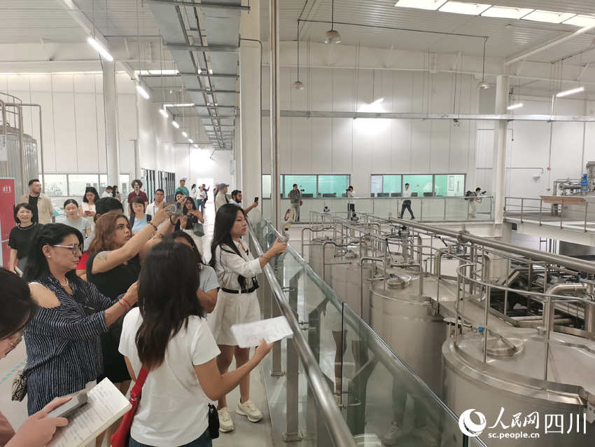外國記者參觀崍州蒸餾廠。人民網記者 劉海天攝