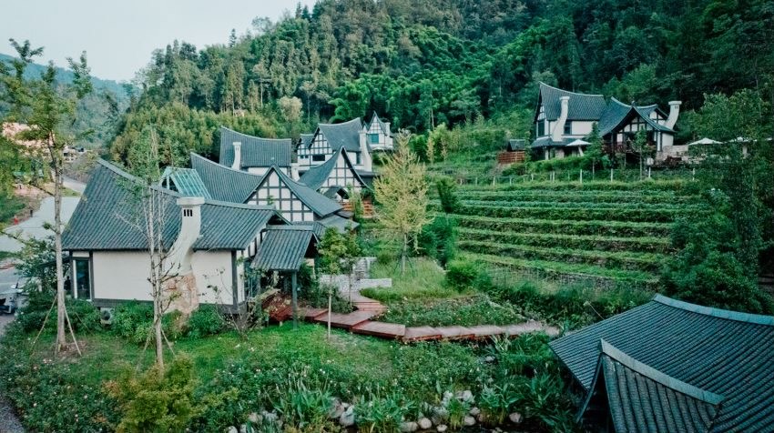 野玫瑰村內的梯田。受訪者供圖