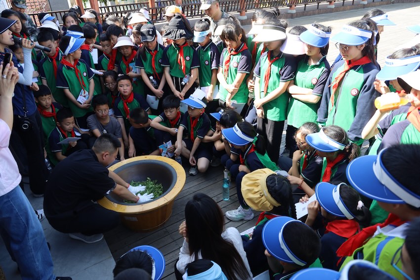 茶文化研學。雅安文旅供圖