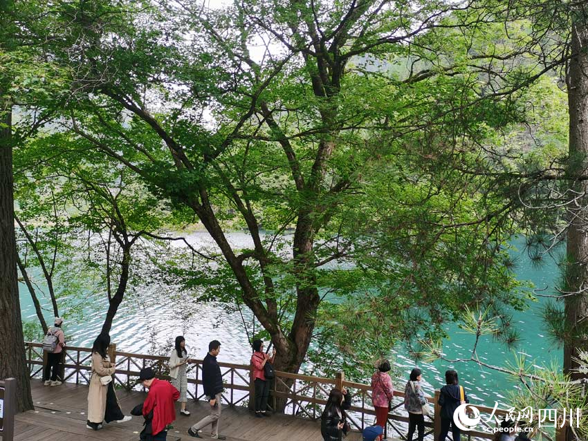 拉美媒體代表團參訪九寨溝。人民網記者 劉海天攝