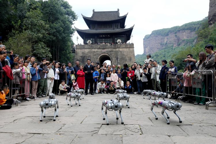 機器狗表演。高志農供圖