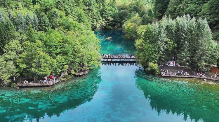 五花海一角。九管局供圖