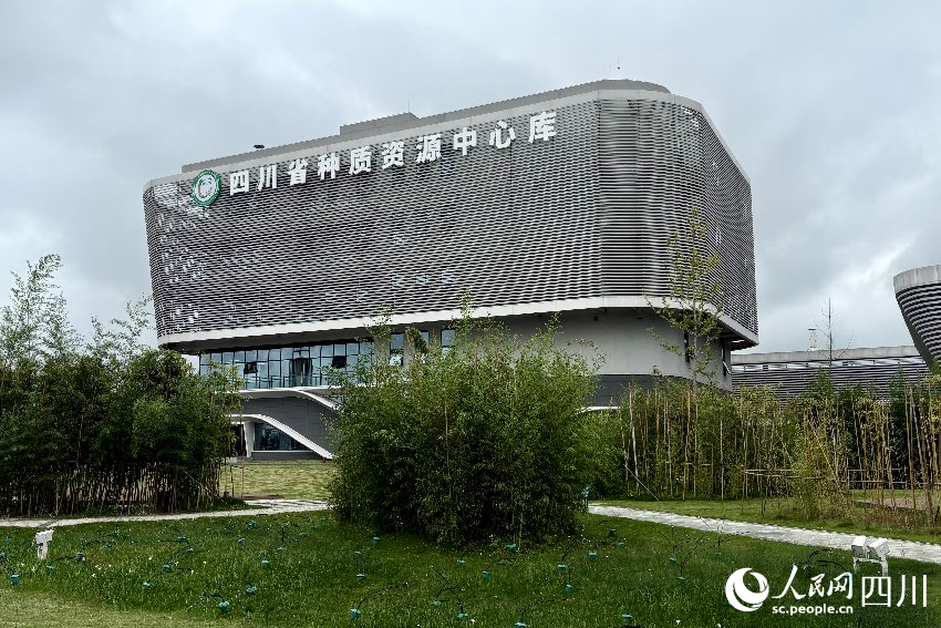 四川省種質資源中心庫正式全面運行。人民網記者 朱虹攝