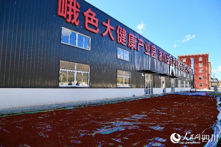 爐霍縣建成貢嘎海棠（峨色）大健康園區。人民網記者 朱虹攝