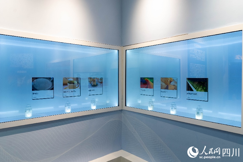 展示酪蛋白的不同用途。人民網記者 朱虹攝