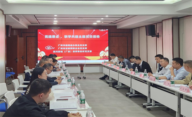 主題黨日活動現場。廣安市委網信辦供圖