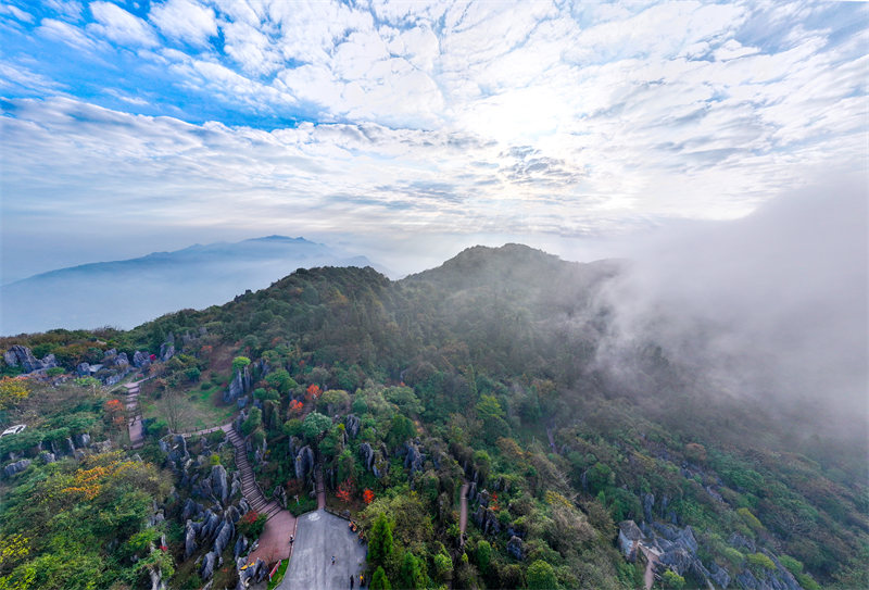 2024年11月10日，色彩斑斕的廣安市華鎣山云霧繚繞，宛如人間仙境。邱海鷹、劉南賢攝
