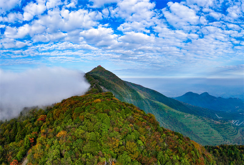 2024年11月10日，色彩斑斕的廣安市華鎣山云霧繚繞，宛如人間仙境。邱海鷹、劉南賢攝