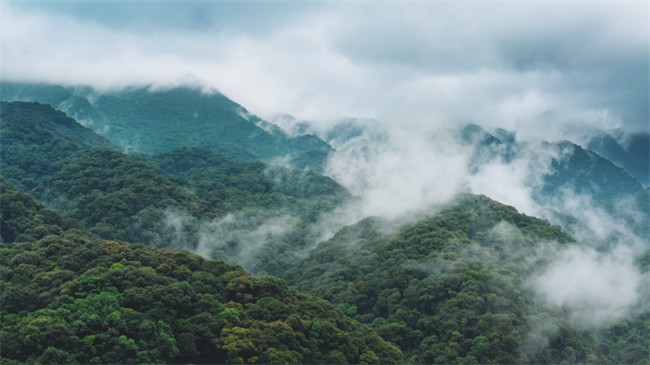 涼山境內森林覆蓋率高達52.16% ，是全國、全省森林火案易發頻發極高風險區。涼山州公安局供圖