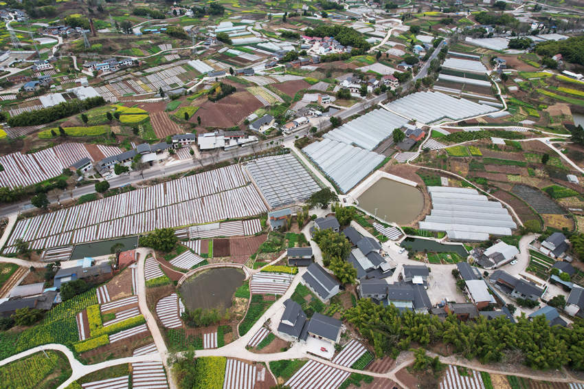 水口村新貌。熊小利攝