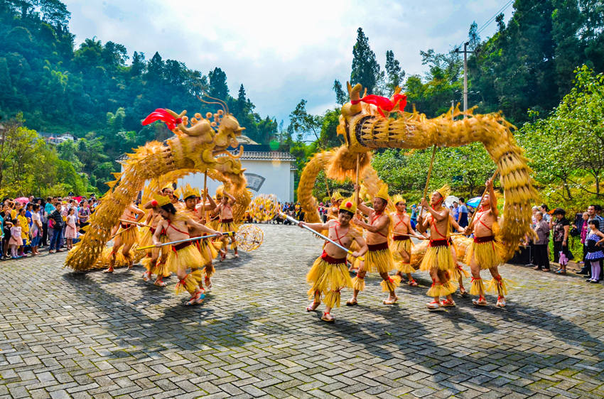 沐川草龍舞動鄉野?？讋贁z