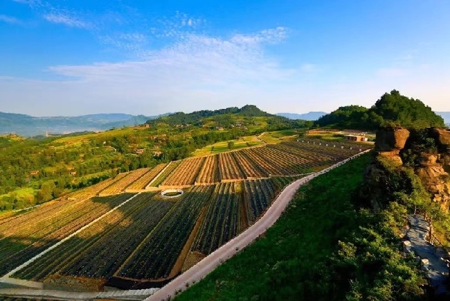 大田溝流域治理后的風貌。達州市水務局供圖
