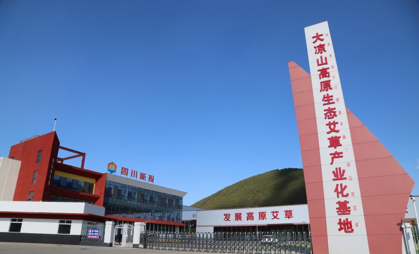 大涼山高原艾草生態產業園區。四川能投集團供圖