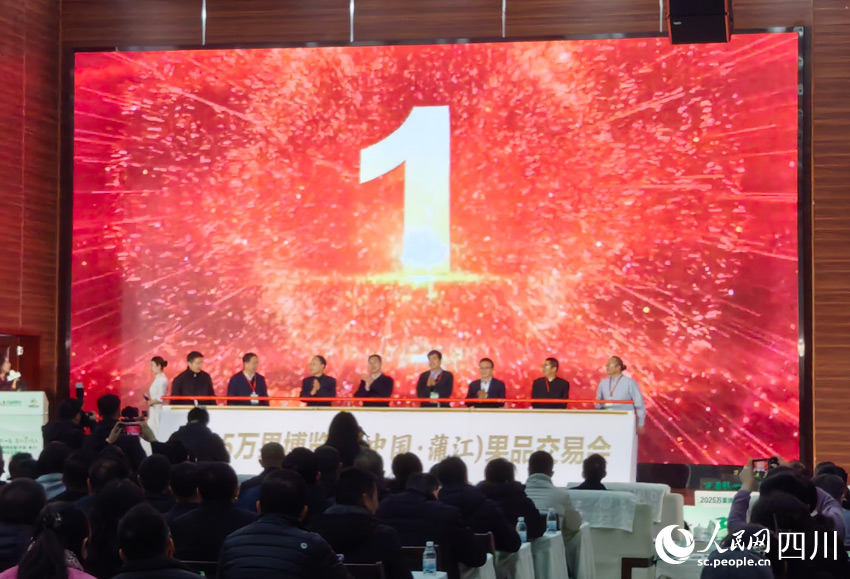 啟動儀式。人民網記者 劉海天攝