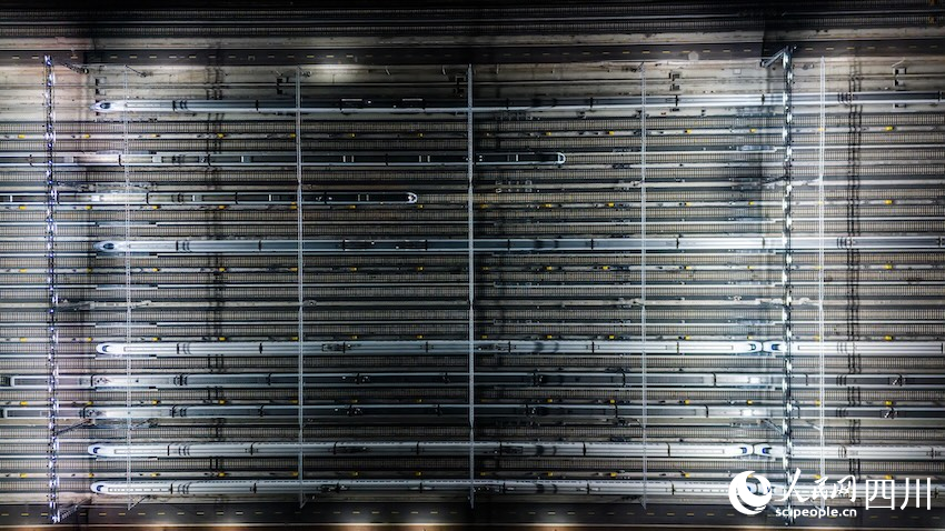 蓄勢待發。熊能攝