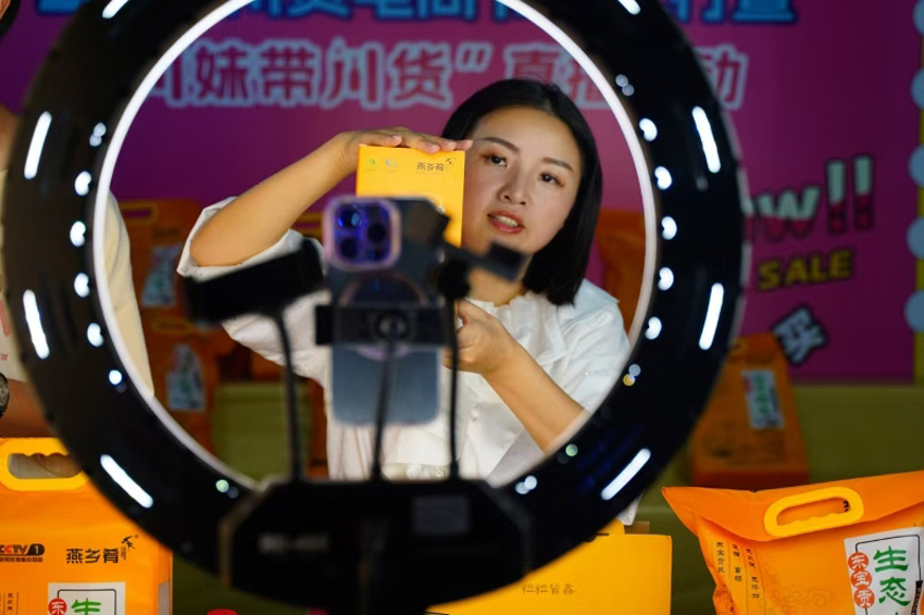 帶貨直播的“小燕子”。受訪者供圖