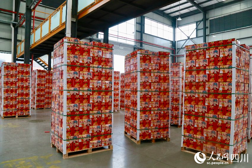 包裝精美的愛媛橙等待海關查驗。人民網記者 朱虹攝