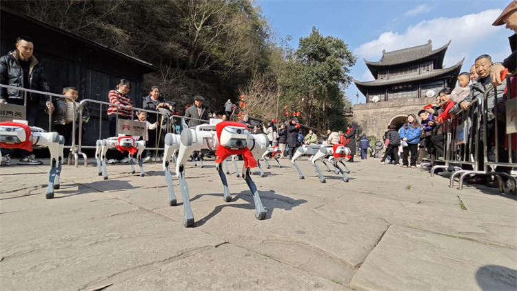 AI機器狗表演。劍閣縣委宣傳部供圖