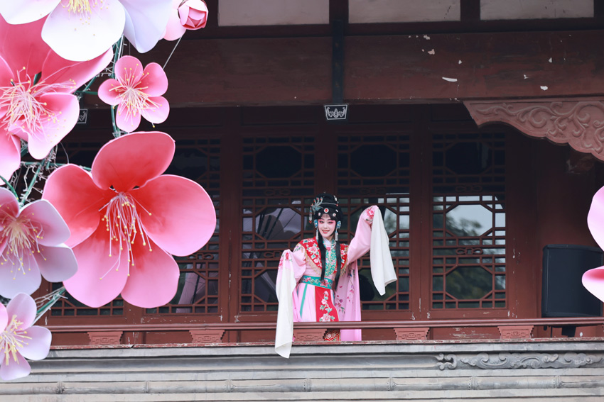 紅梅花畔舞，戲裝美佳節。杜甫草堂供圖