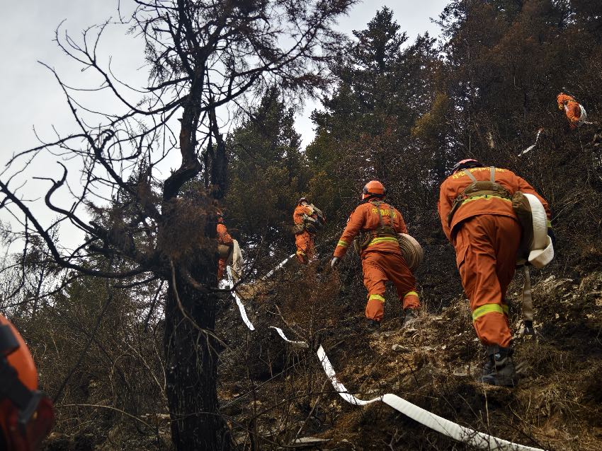 2月6日18時，四川阿壩壤塘，四川省森林消防總隊特勤大隊在火場鋪設管帶。李良友攝