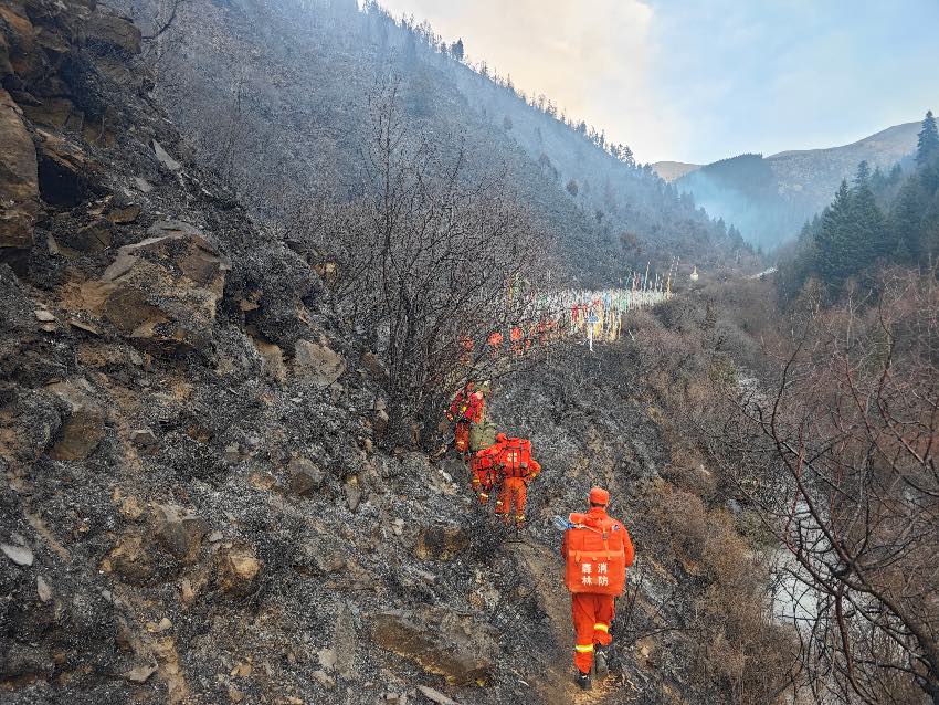 2月6日18時，四川阿壩壤塘，四川省森林消防總隊特勤大隊在火場鋪設管帶。朱永林攝