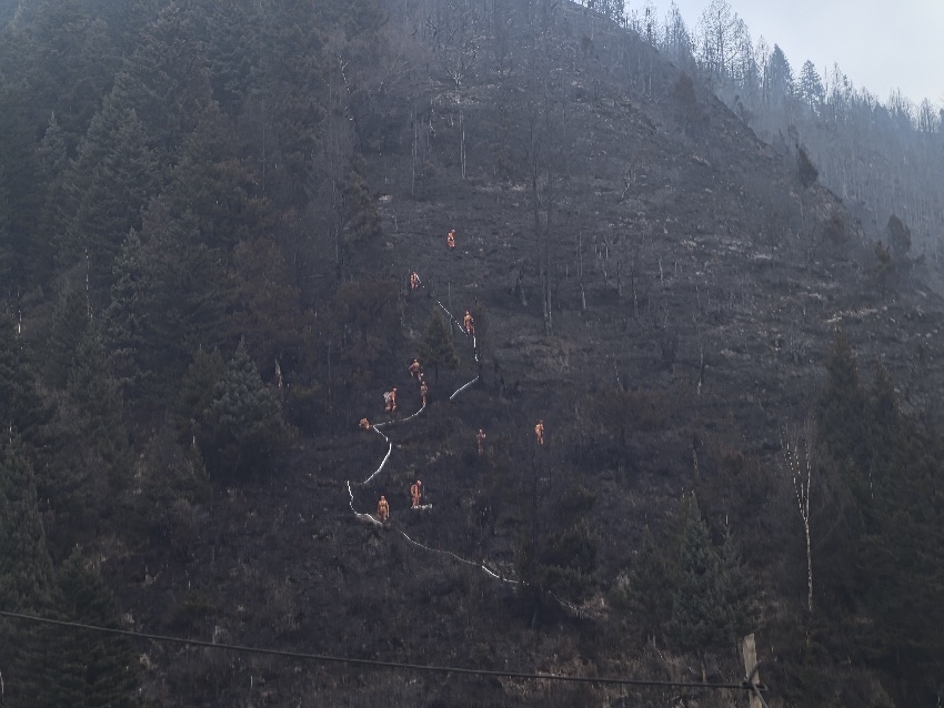 2月6日18時30分，四川阿壩壤塘，四川省森林消防總隊特勤大隊正在撲救山火。程雪力攝