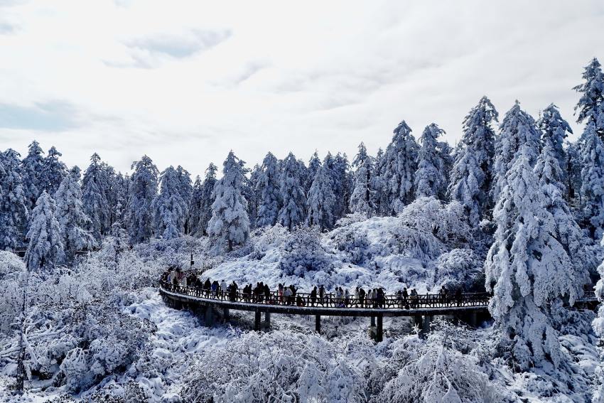 大批游客前往瓦屋山旅游過節。洪雅縣委宣部供圖