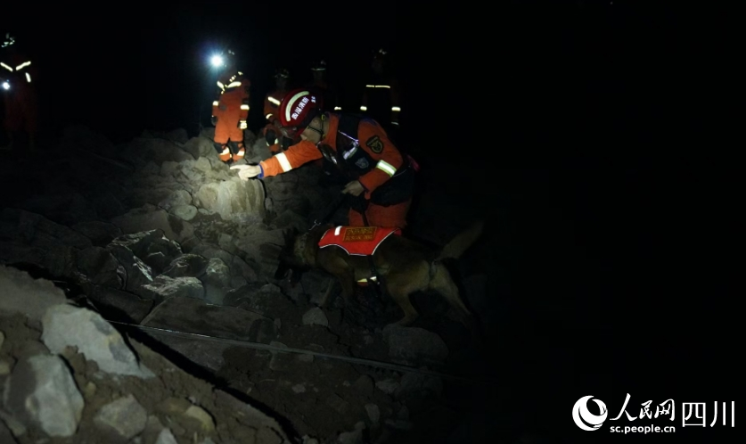 消防人員攜搜救犬進行搜救。宋豪新、黃超攝