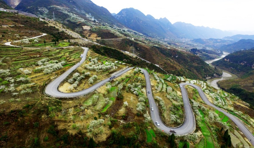 敘永縣赤水河畔烏蒙花海。 胡潤林攝