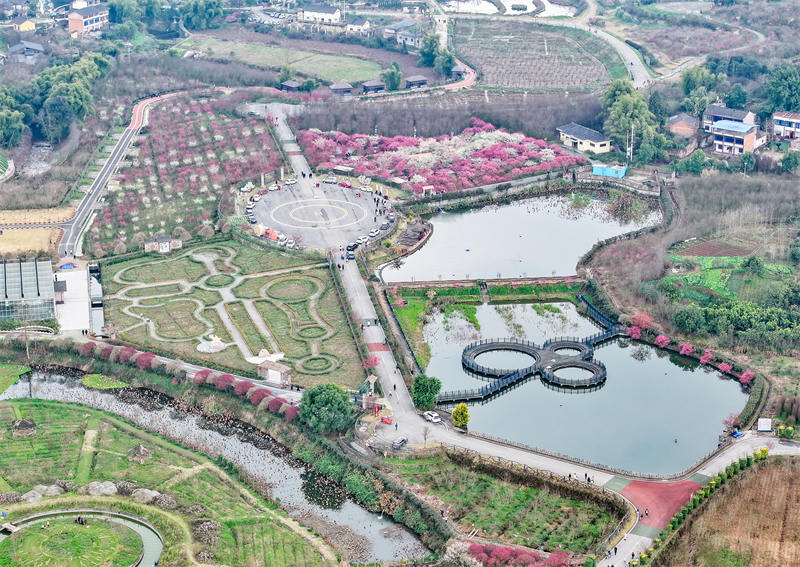 四川省廣安華鎣市祿市鎮涼水井村生態園，競相綻放，吸引不少市民利用周末前來享受春天的氣息和鄉村振興帶來的成果。邱海鷹攝