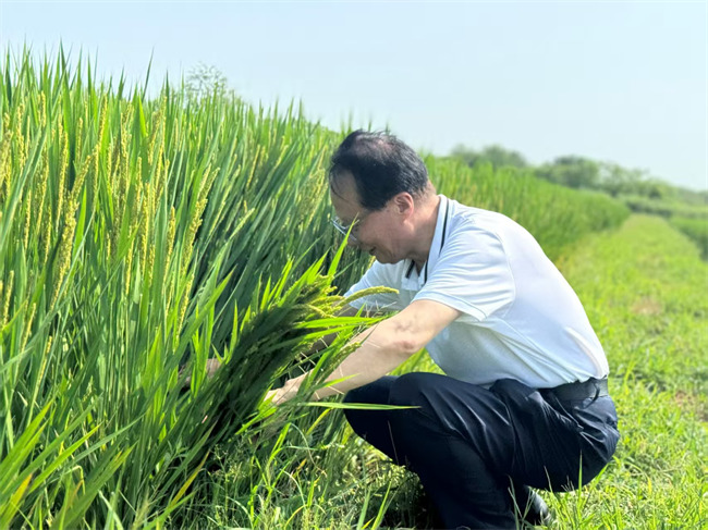 全國人大代表耿福能深入田間地頭調研。好醫生集團供圖
