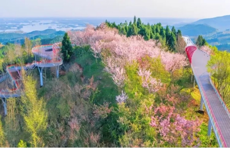 東部新區山地公園。成都市文廣旅局供圖