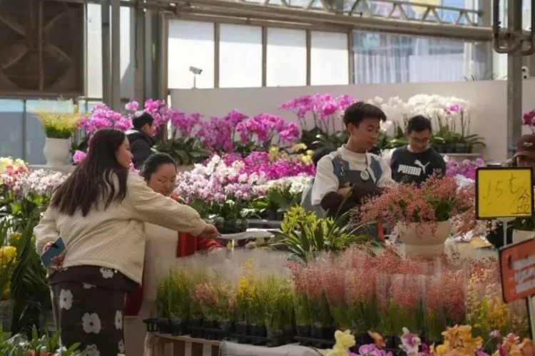 市民在花市選購新鮮花。成都市文廣旅局供圖