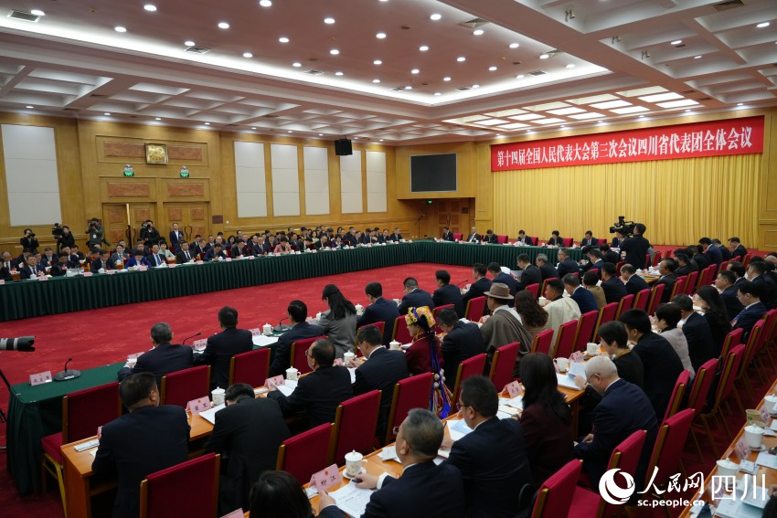 十四屆全國人大三次會議四川代表團舉行開放團組會議。人民網記者 李平攝