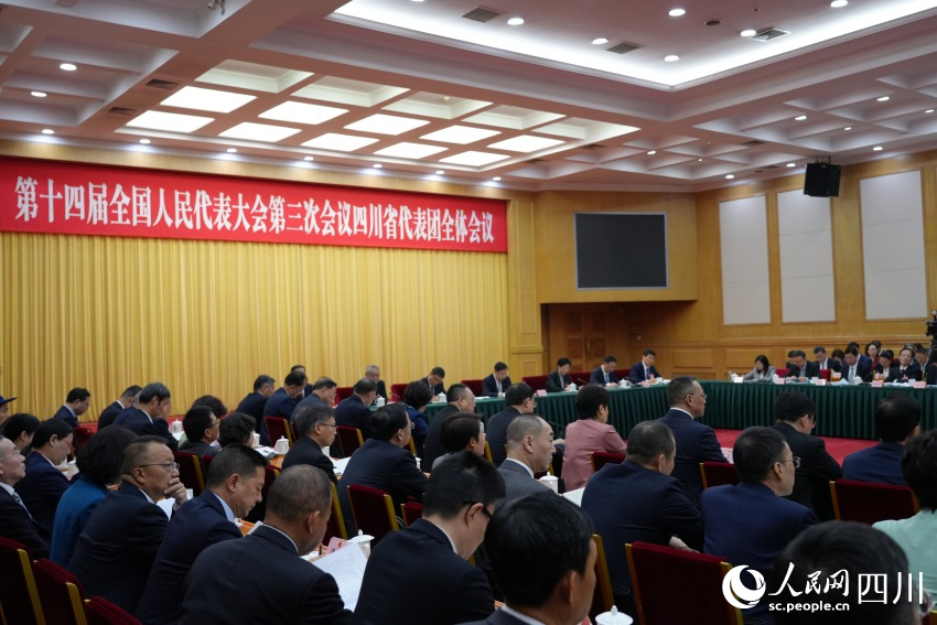 四川代表團舉行開放團組會議。人民網記者 李平攝