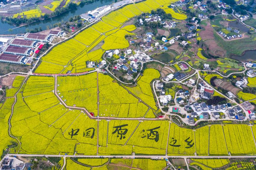 瀘縣譚壩 中國原酒之鄉。向波攝