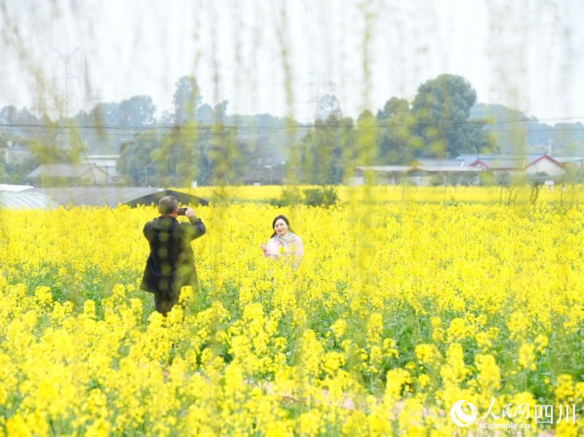 游人們漫步花海拍照打卡。崔宗喜攝