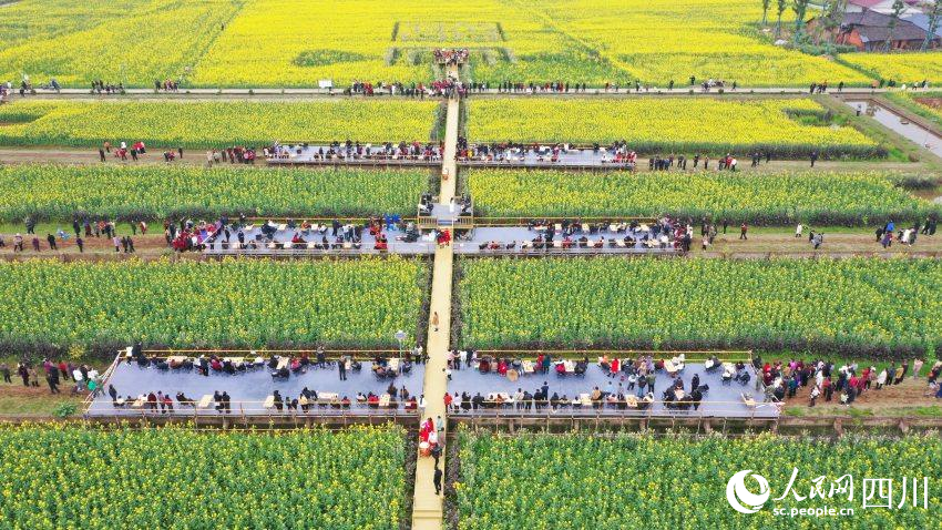 游人們一邊欣賞花海，一邊茶歇燒烤。崔宗喜攝